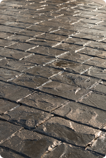 Sharx concrete project